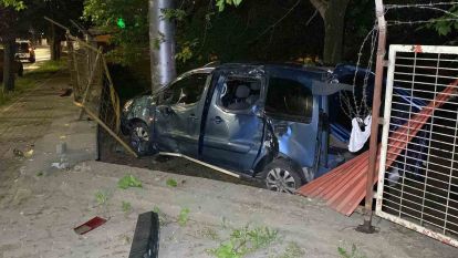 Kocaeli'de hafif ticari araç ağaca çarptı: 1 yaralı